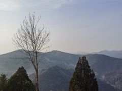 -府君山公园