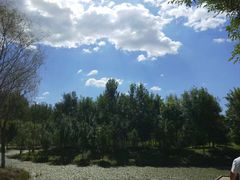 -东郊湿地公园