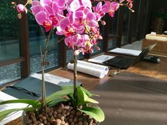 -上海崇明金茂凯悦酒店