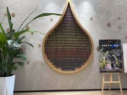 -dōTERRA多特瑞精油生活馆