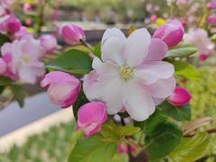 -元大都城垣遗址公园