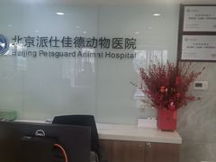 -北京派仕佳德动物医院·超导核磁·CT·神经科·骨科·内外科·急重症管理中心