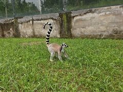 -秦皇岛野生动物园