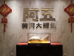 -阿五黄河大鲤鱼(纬三路店)