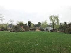 -鹅湖玫瑰文化园