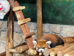 -绿色星球动物主题公园