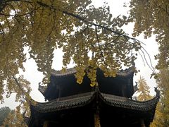 -青羊宫