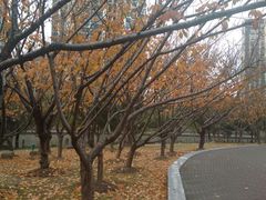 -苏州河梦清园环保主题公园