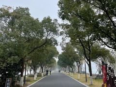 -东钱湖旅游度假区