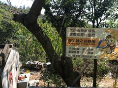 -南丫岛