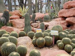 -华南国家植物园-售票处