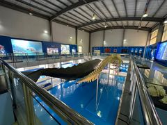 -上海海洋大学鱼文化博物馆(军工路校区)