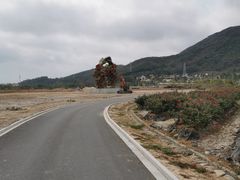 -亚龙湾国际玫瑰谷