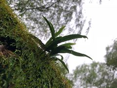 -西湖风景区-江洋畈生态公园