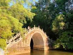 -深圳仙湖植物园