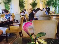 -大堂茶座