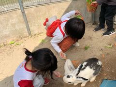 -前小桔亲子创意农场·草莓采摘·露营烧烤