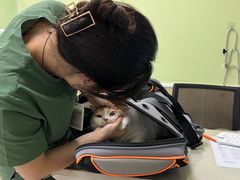 -瑞鹏宠物医院犬猫全科(真大分院)