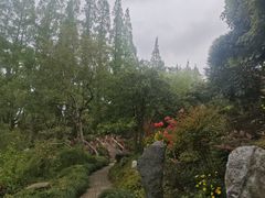 -上海醉白池公园
