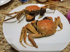 -禾斗海鲜自助(市南银座店)