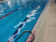 -奥体中心游泳馆