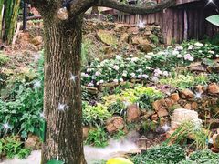 -南山植物园