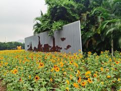 -海心沙亚运公园