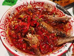 -欧记大排档·景德菜(上海首店)