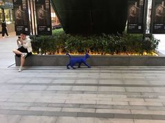 -中海环宇荟