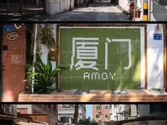 -溪岸路花鸟市场