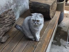 -拾壹cafe·工作室