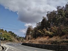 -四明山国家森林公园