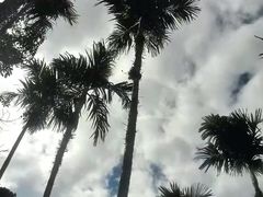 -呀诺达热带雨林