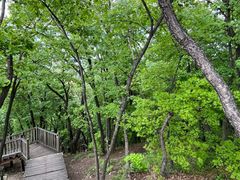 -帽儿山国家森林公园