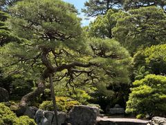 -京都御所