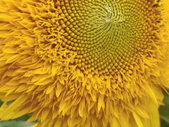 -长春公园(普阳街道)