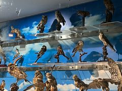 -郑州自然博物馆(惠济区)