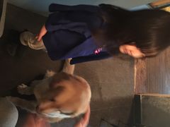 百好乐比萨-百好乐宠物友好餐厅(朝外大街店)