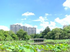 -金山公园