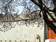 -唐城墙遗址公园