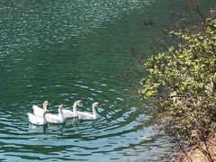 -丹东天桥沟景区