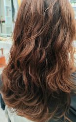 -镁连社·美联社