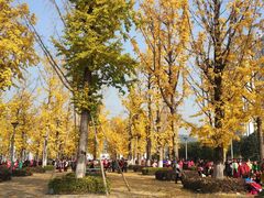 -两江幸福广场