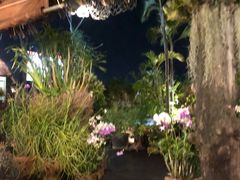 -自然餐厅(Phuket)