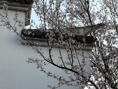 -深业半汤御泉庄温泉