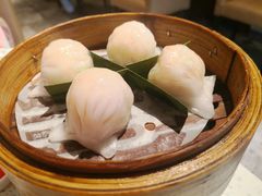 -又一间茶点轩(百汇广场店)