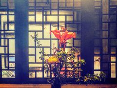 -云来集茶舍(国子监街店)