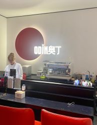 -ODIN 奥丁形象设计 