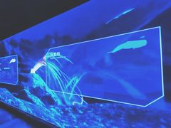 -芜湖新华联大白鲸海洋公园