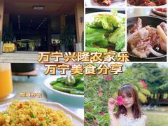 -兴隆槟榔园休闲农庄